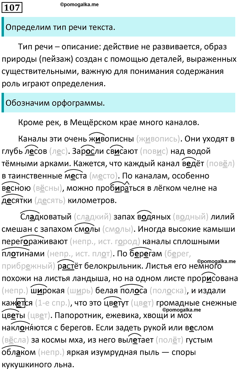 страница 60 упражнение 107 русский язык 8 класс Пичугов, Еремеева учебник 2024 год