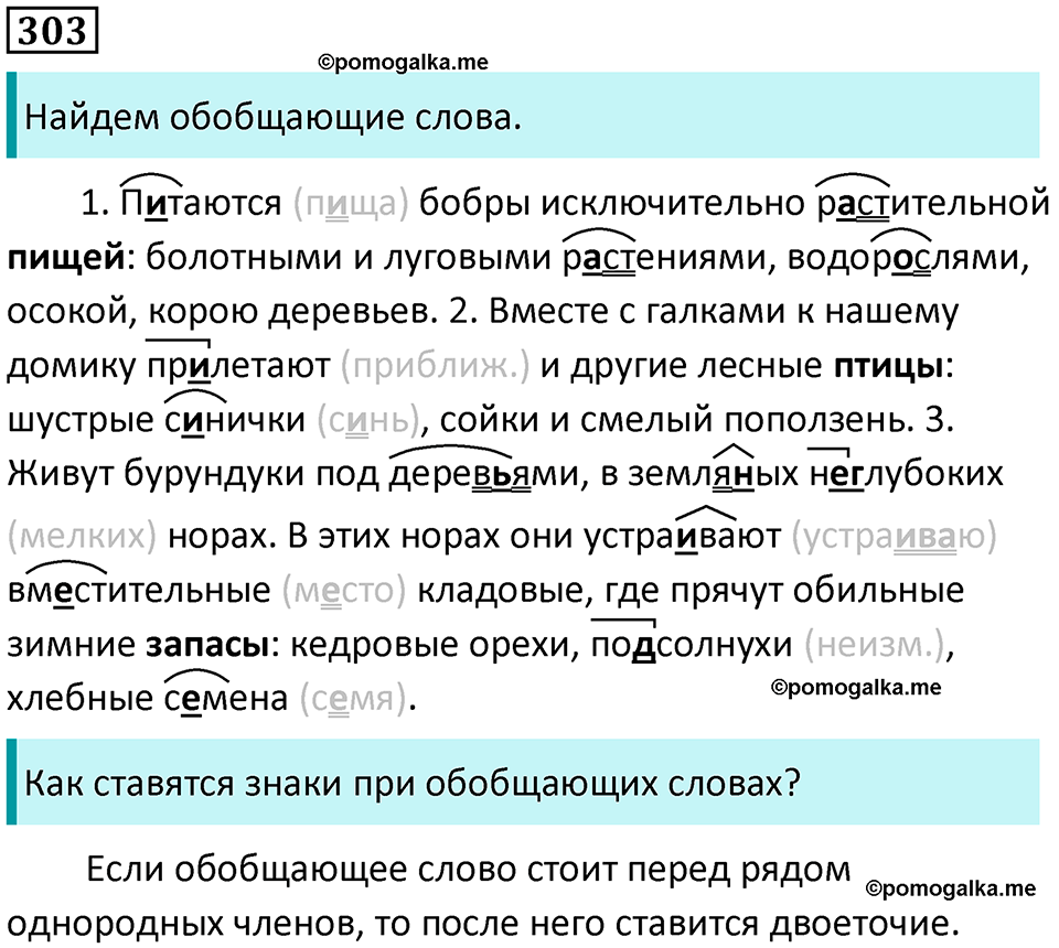 страница 142 упражнение 303 русский язык 8 класс Пичугов, Еремеева учебник 2024 год