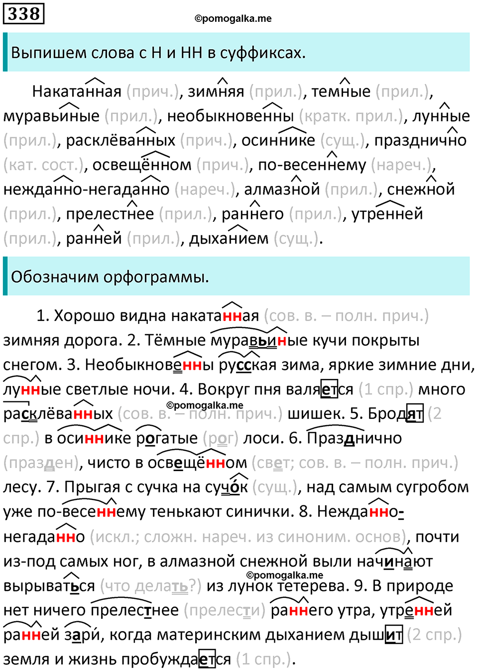 страница 157 упражнение 338 русский язык 8 класс Пичугов, Еремеева учебник 2024 год