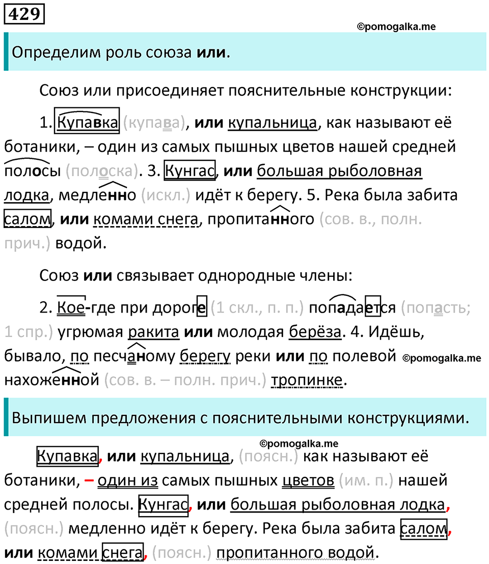 страница 197 упражнение 429 русский язык 8 класс Пичугов, Еремеева учебник 2024 год