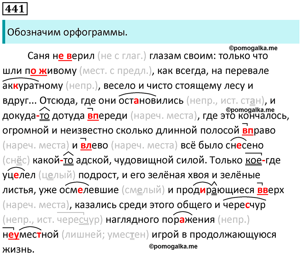 страница 201 упражнение 441 русский язык 8 класс Пичугов, Еремеева учебник 2024 год