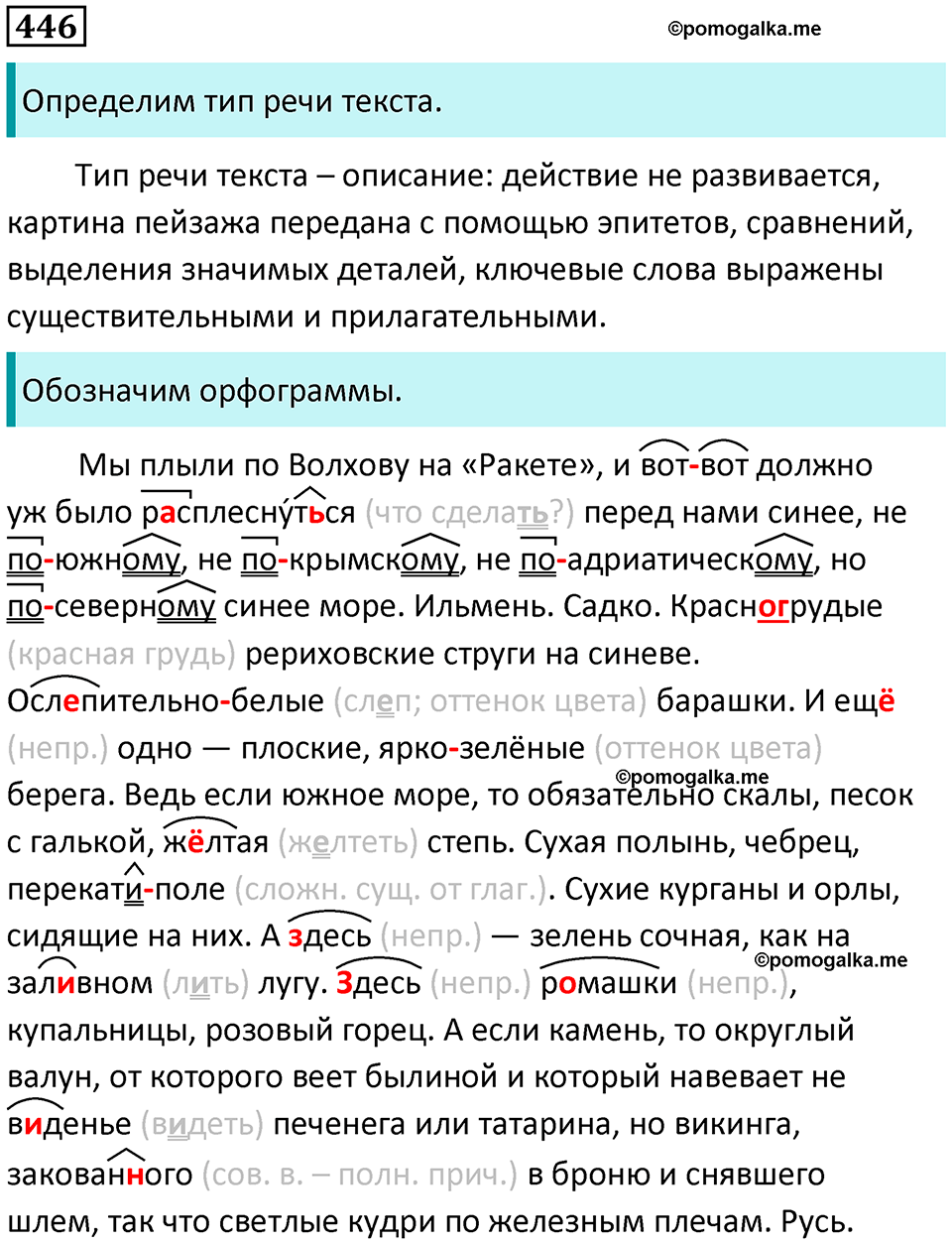 страница 203 упражнение 446 русский язык 8 класс Пичугов, Еремеева учебник 2024 год