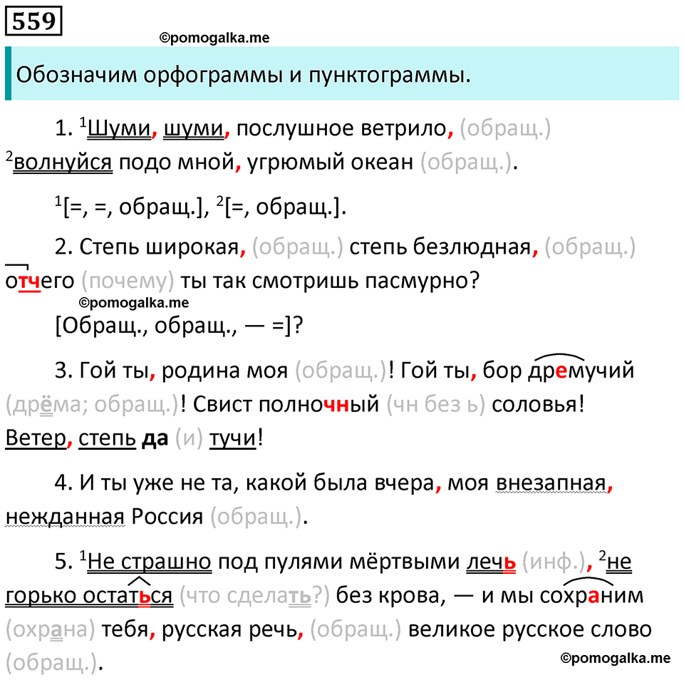 упражнение 559 русский язык 8 класс Пичугов, Еремеева учебник 2024 год