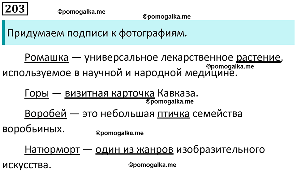 упражнение 203 русский язык 8 класс Рыбченкова 2022 год