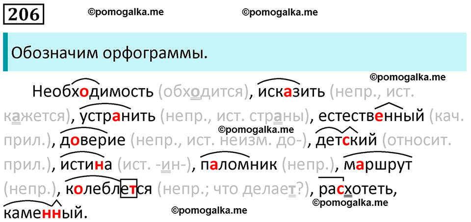 упражнение 206 русский язык 8 класс Рыбченкова 2022 год