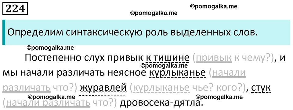 упражнение 224 русский язык 8 класс Рыбченкова 2022 год