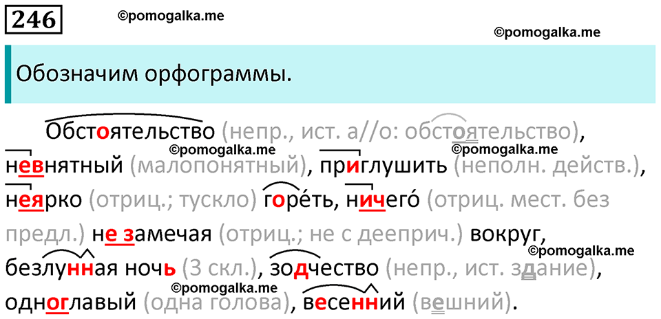 упражнение 246 русский язык 8 класс Рыбченкова 2022 год