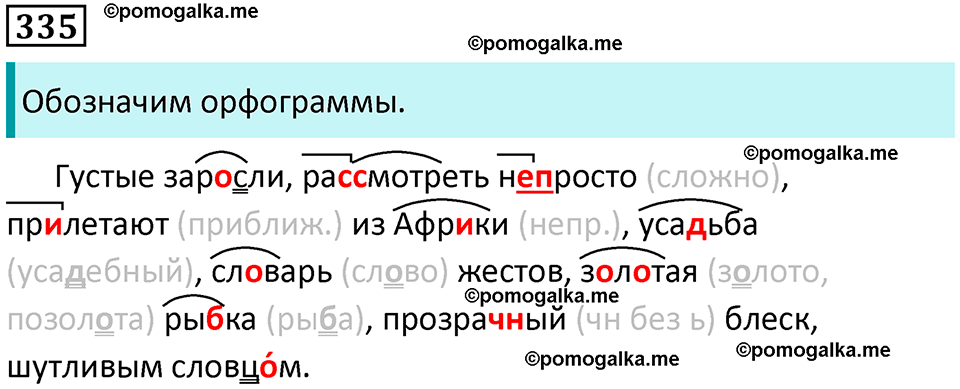 упражнение 335 русский язык 8 класс Рыбченкова 2022 год