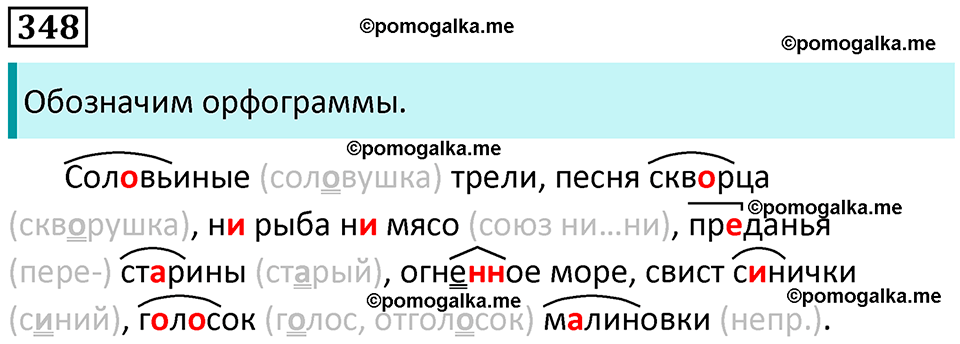 упражнение 348 русский язык 8 класс Рыбченкова 2022 год