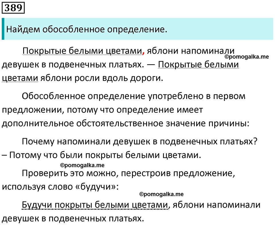 упражнение 389 русский язык 8 класс Рыбченкова 2022 год