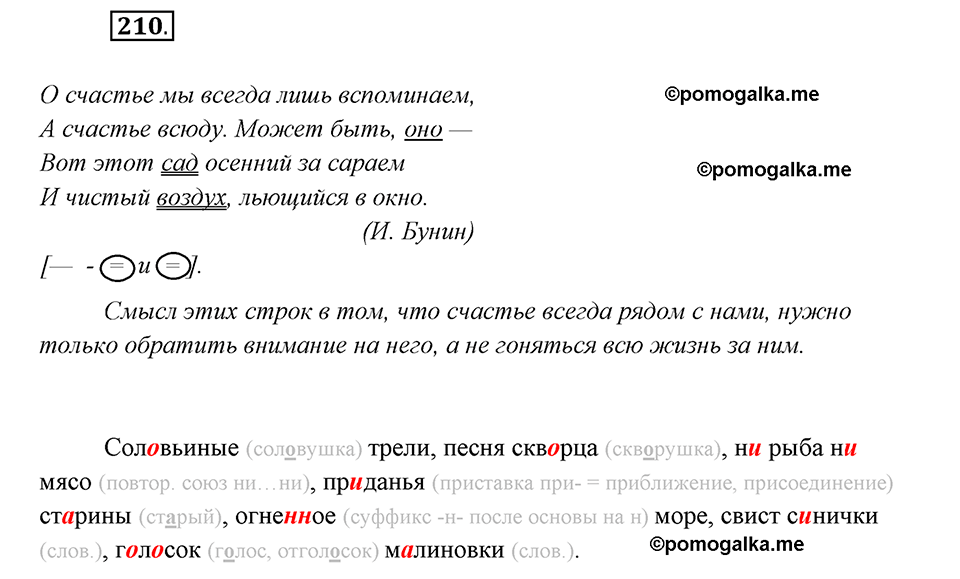 страница 131 упражнение 210 русский язык 8 класс Рыбченкова 2018 год