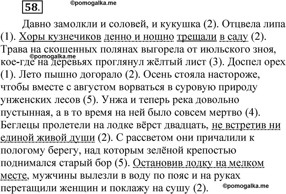 страница 49 глава 1 упражнение  58 русский язык 8 класс Шмелев 2024 год