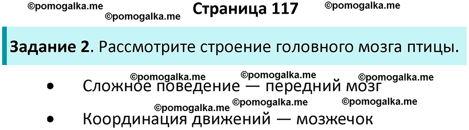 страница 117 биология 8 класс Суматохин, Пасечник рабочая тетрадь 2025 год