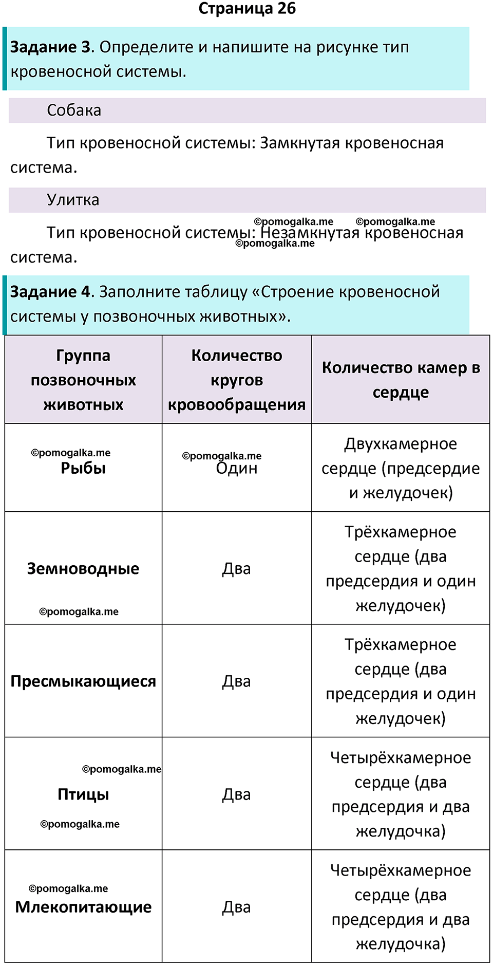 страница 26 биология 8 класс Суматохин, Пасечник рабочая тетрадь 2025 год