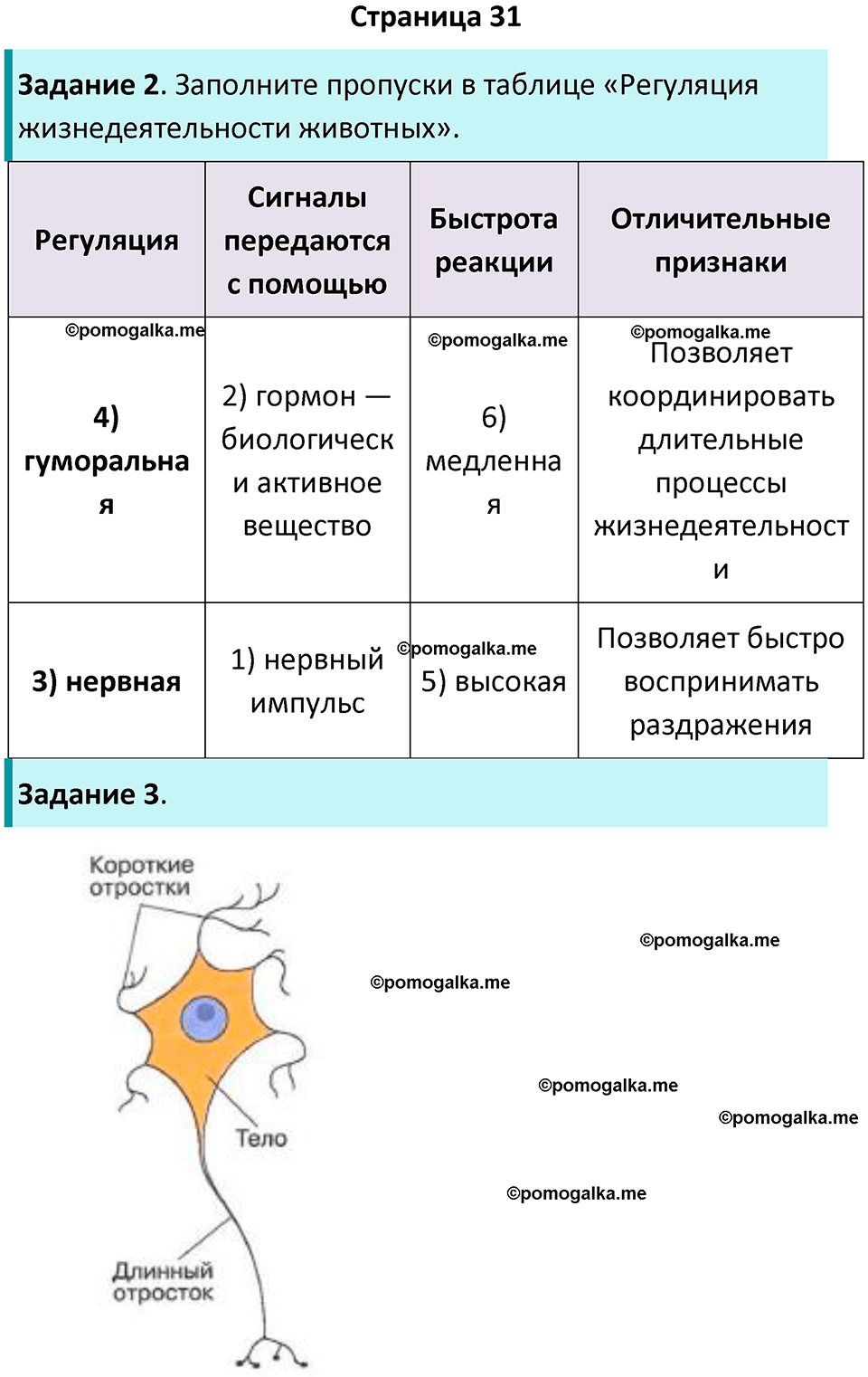 страница 31 биология 8 класс Суматохин, Пасечник рабочая тетрадь 2025 год