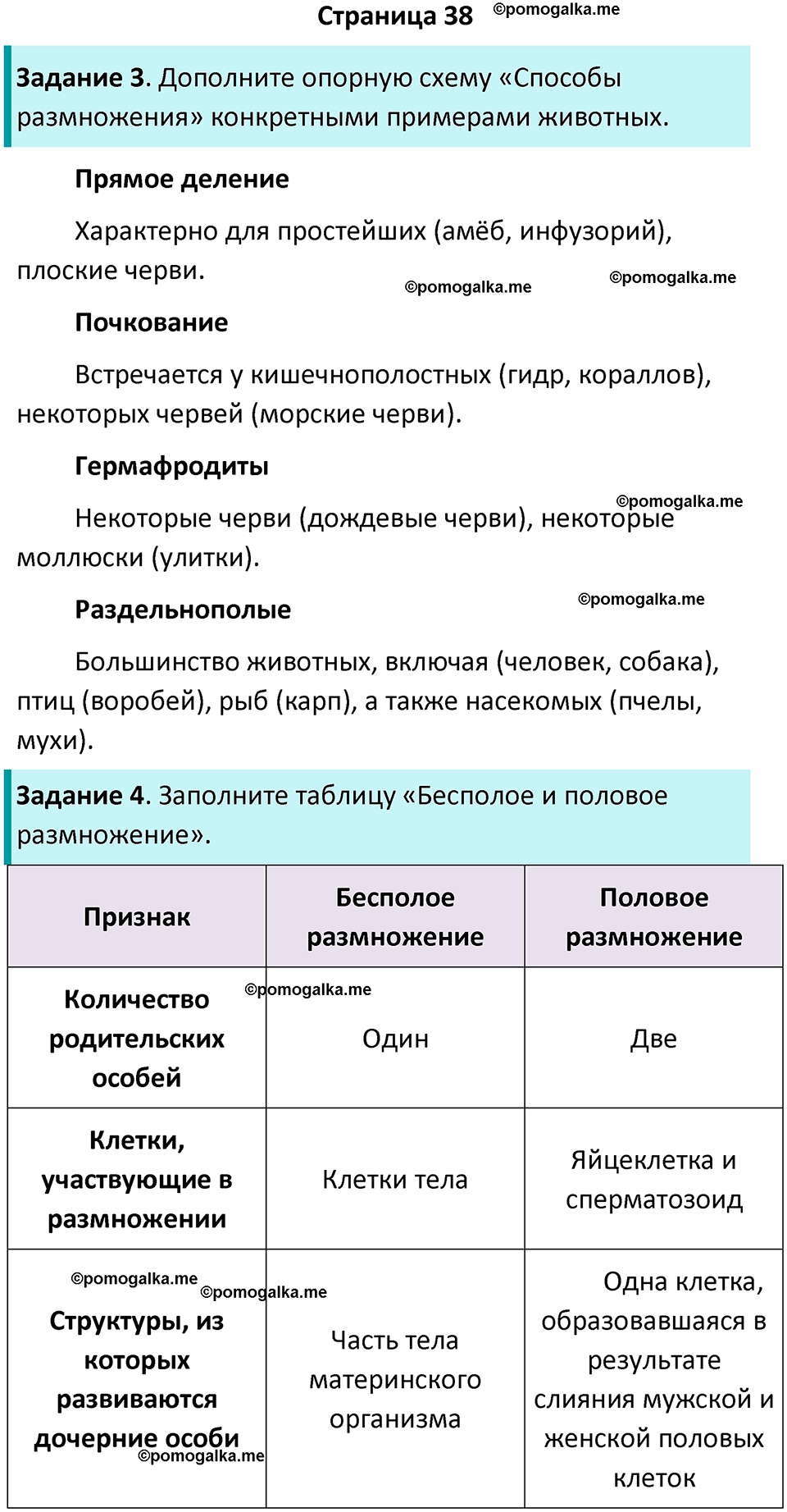страница 38 биология 8 класс Суматохин, Пасечник рабочая тетрадь 2025 год