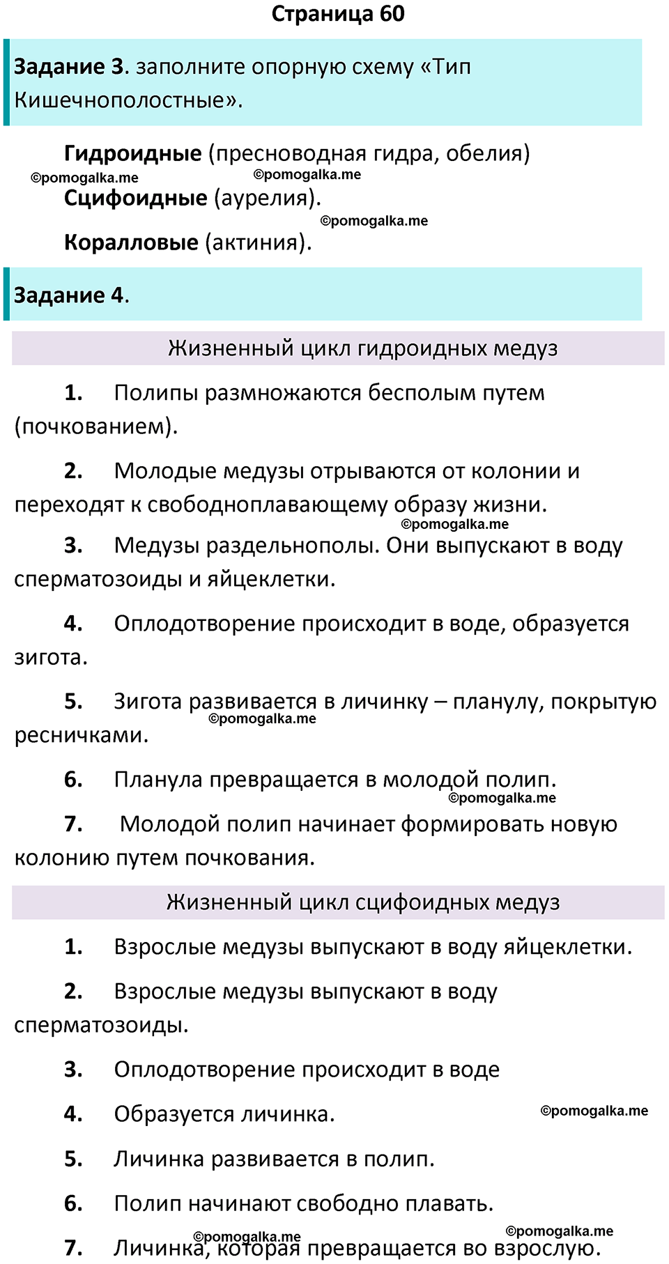 страница 60 биология 8 класс Суматохин, Пасечник рабочая тетрадь 2025 год