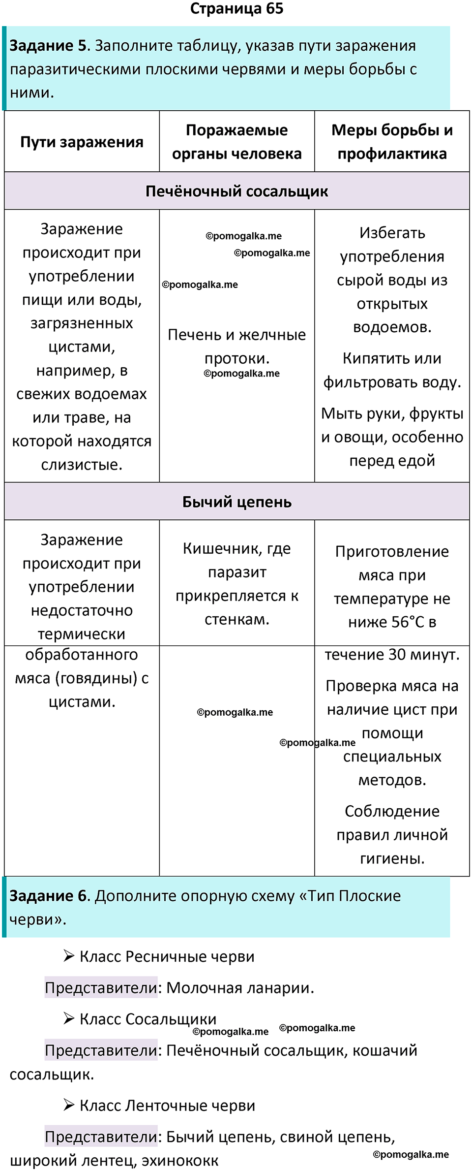 страница 65 биология 8 класс Суматохин, Пасечник рабочая тетрадь 2025 год
