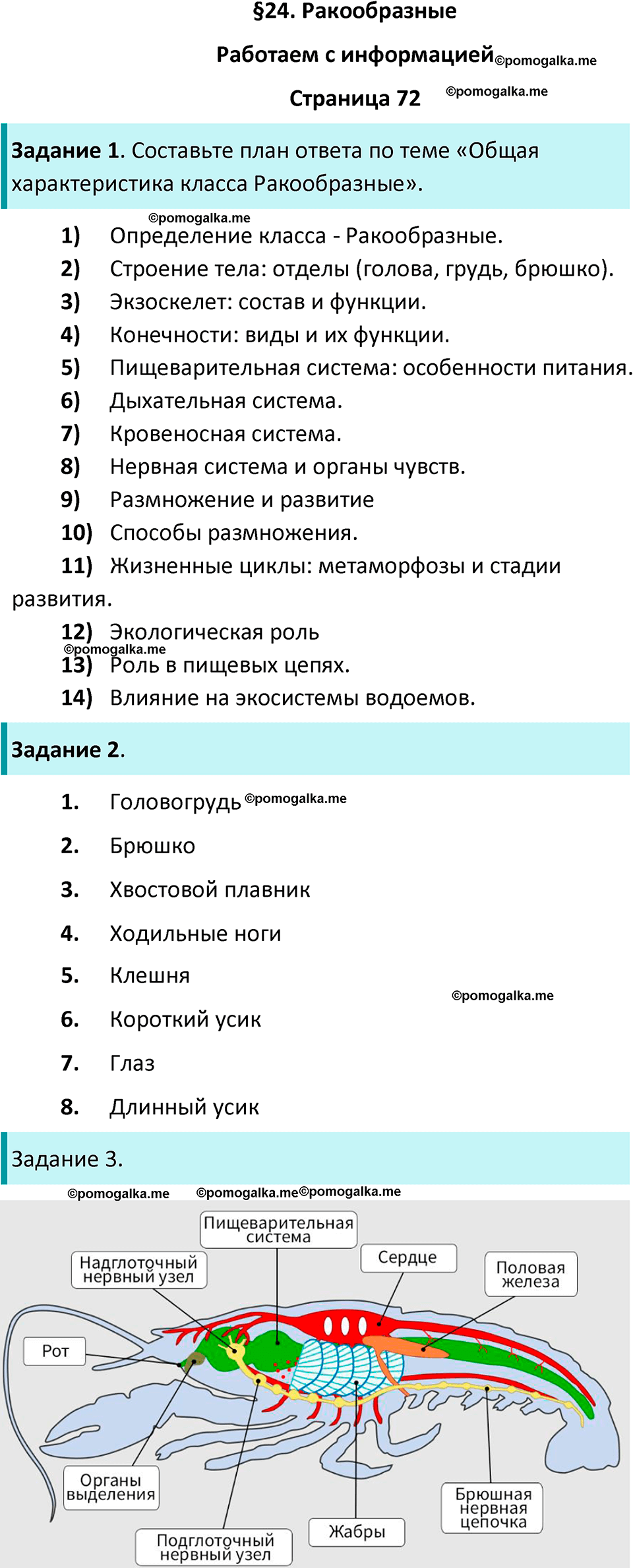 страница 72 биология 8 класс Суматохин, Пасечник рабочая тетрадь 2025 год