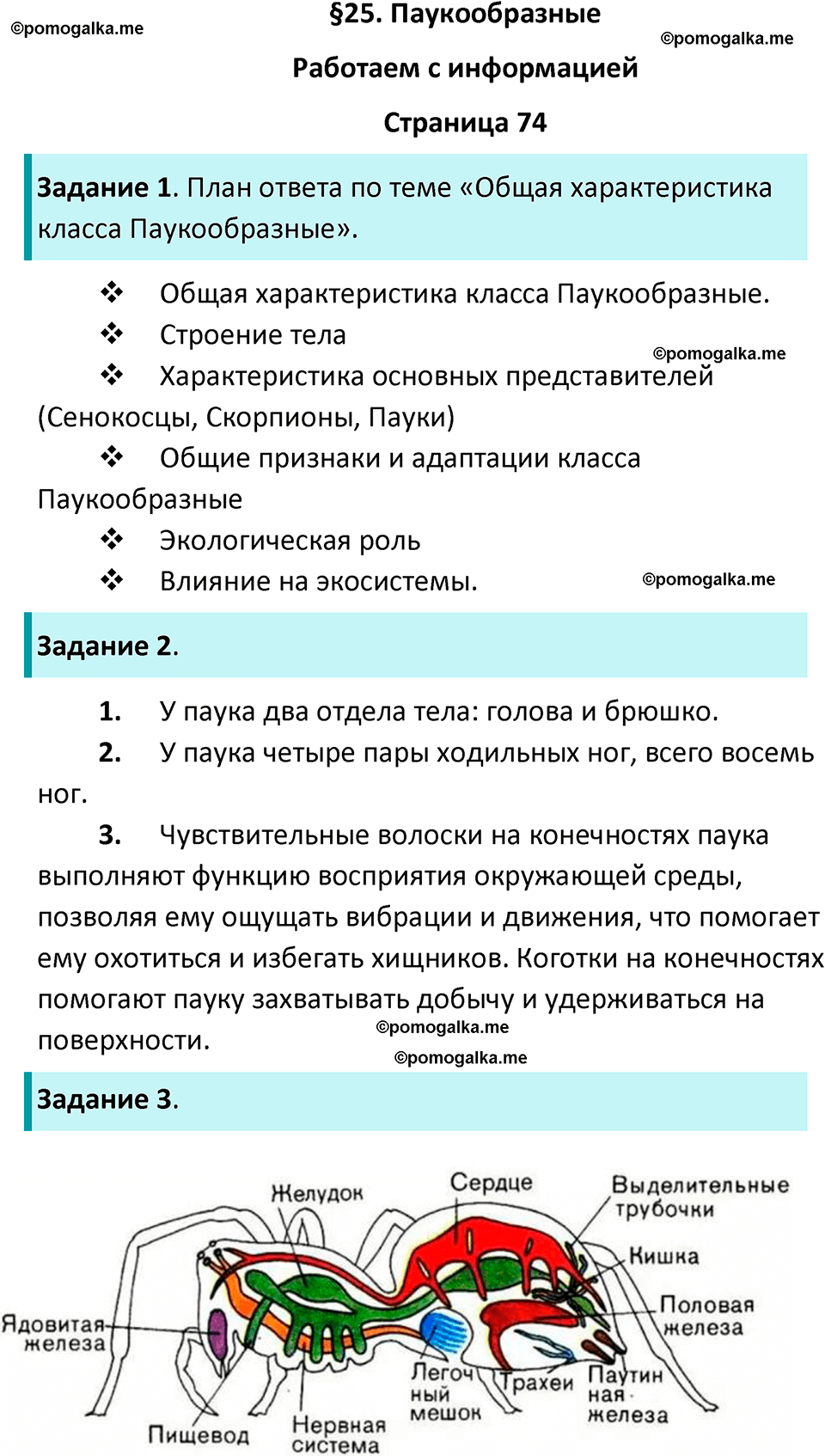 страница 74 биология 8 класс Суматохин, Пасечник рабочая тетрадь 2025 год