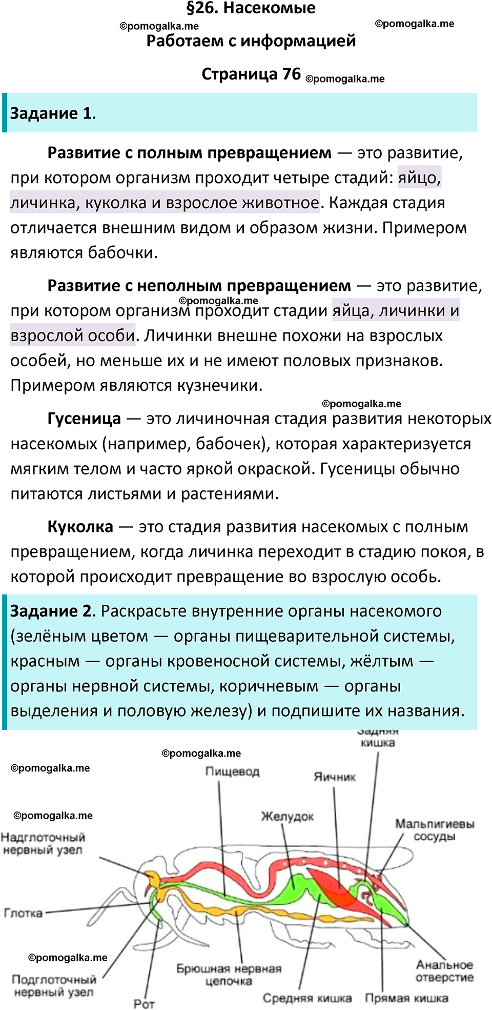 страница 76 биология 8 класс Суматохин, Пасечник рабочая тетрадь 2025 год