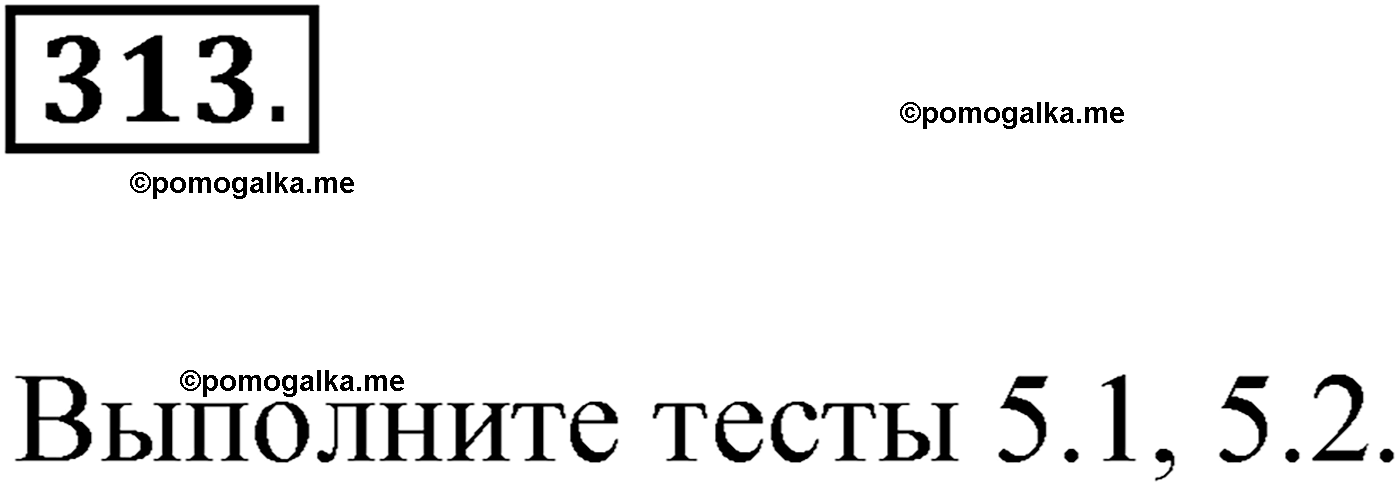 упражнение №313 русский язык 9 класс Мурина 2019 год