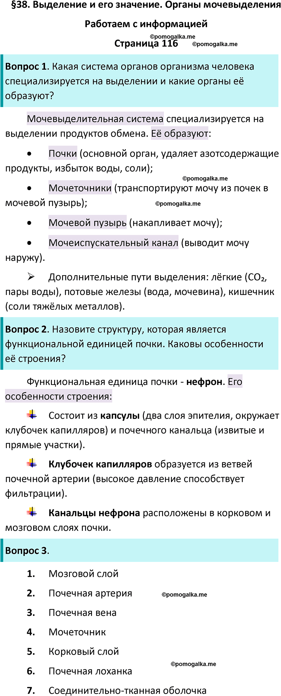 страница 116 биология 9 класс Пасечник, Швецова рабочая тетрадь 2025 год