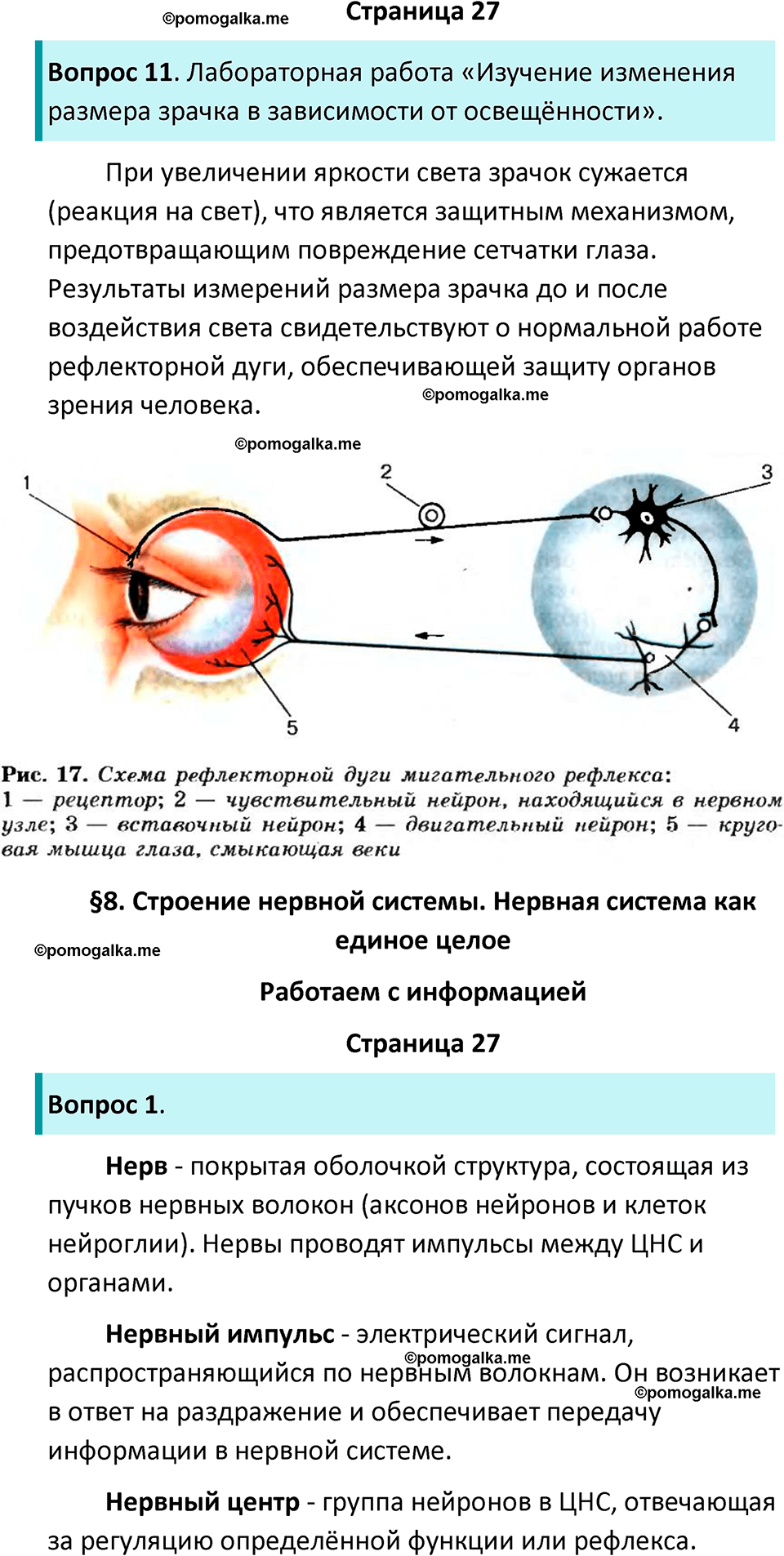 страница 27 биология 9 класс Пасечник, Швецова рабочая тетрадь 2025 год