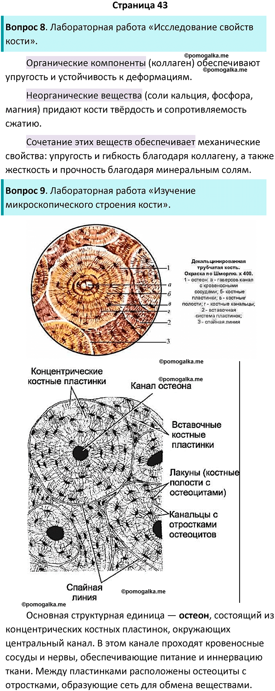 страница 43 биология 9 класс Пасечник, Швецова рабочая тетрадь 2025 год