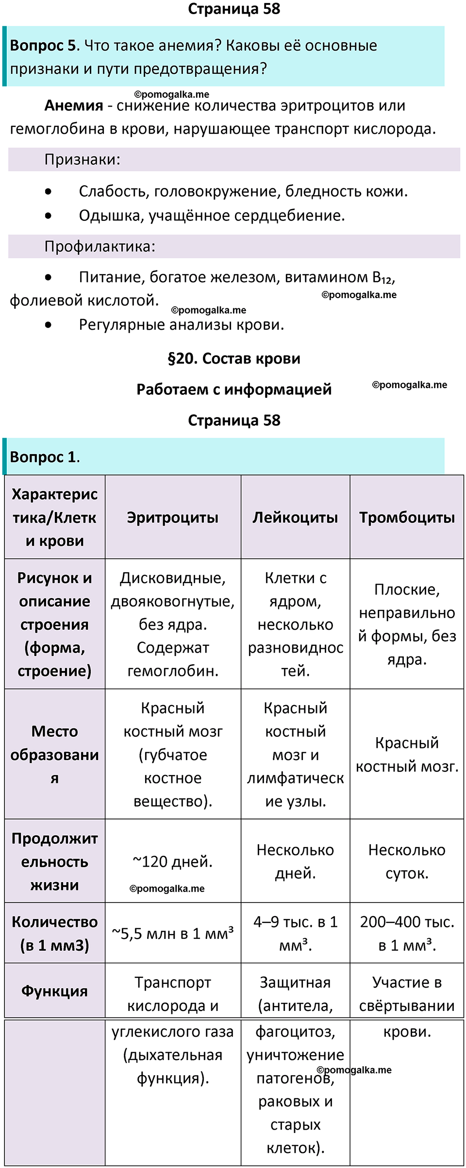 страница 58 биология 9 класс Пасечник, Швецова рабочая тетрадь 2025 год
