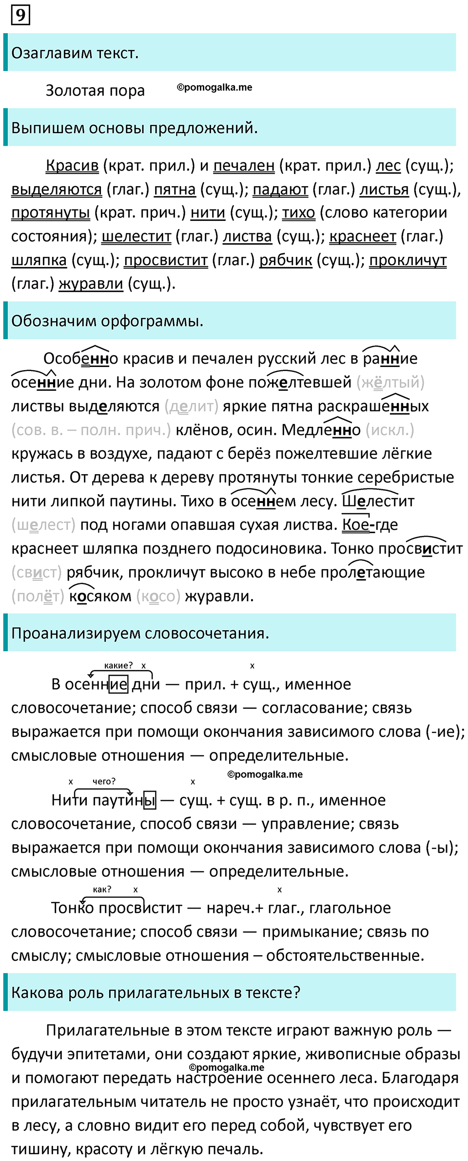 упражнение 9 русский язык 9 класс Пичугов 2022 год