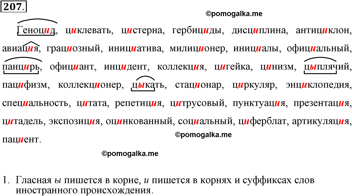 Упражнение №207 - ГДЗ по русскому языку 9 класс Пичугов, Еремеева, Купалова