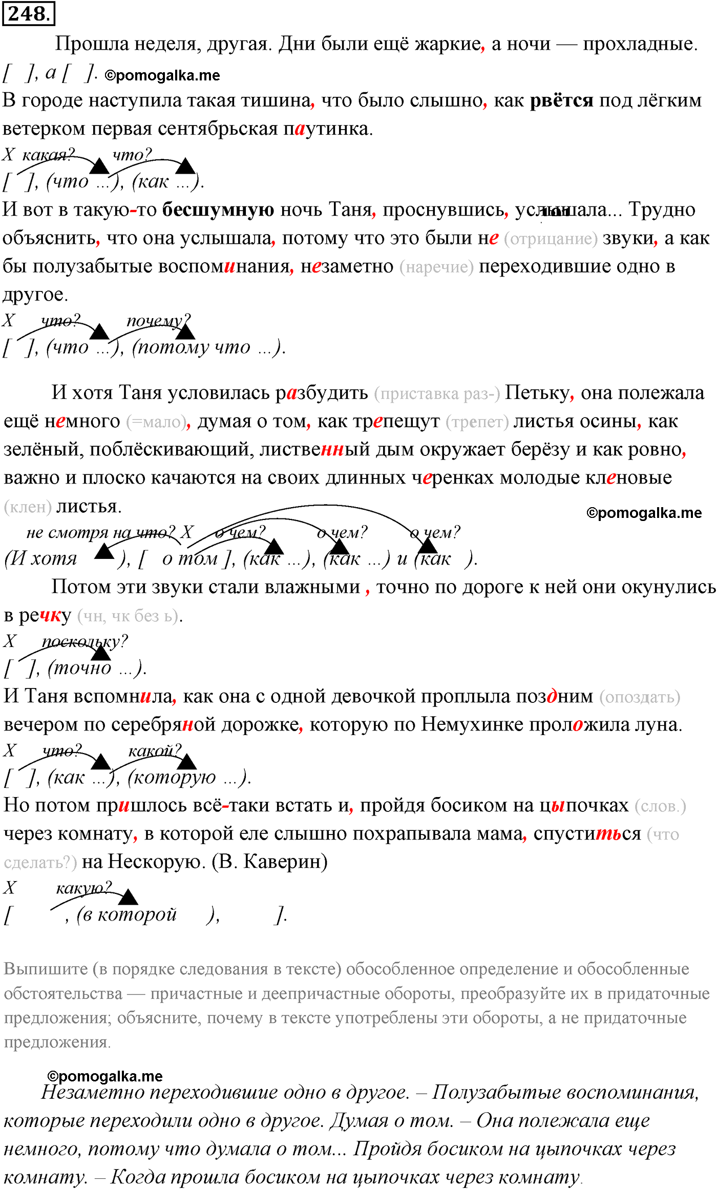 страница 176 номер 248 русский язык 9 класс Разумовская 2011 год