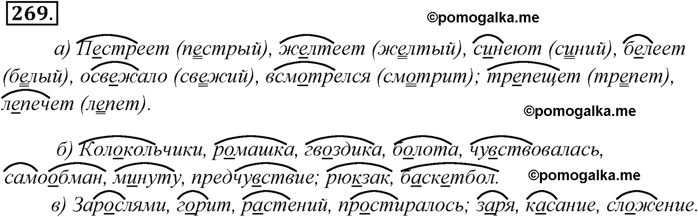 страница 197 номер 269 русский язык 9 класс Разумовская 2011 год