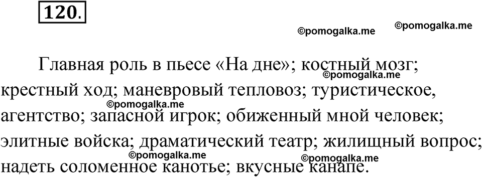 страница 101 глава 1 упражнение 120 русский язык 9 класс Шмелев 2024 год