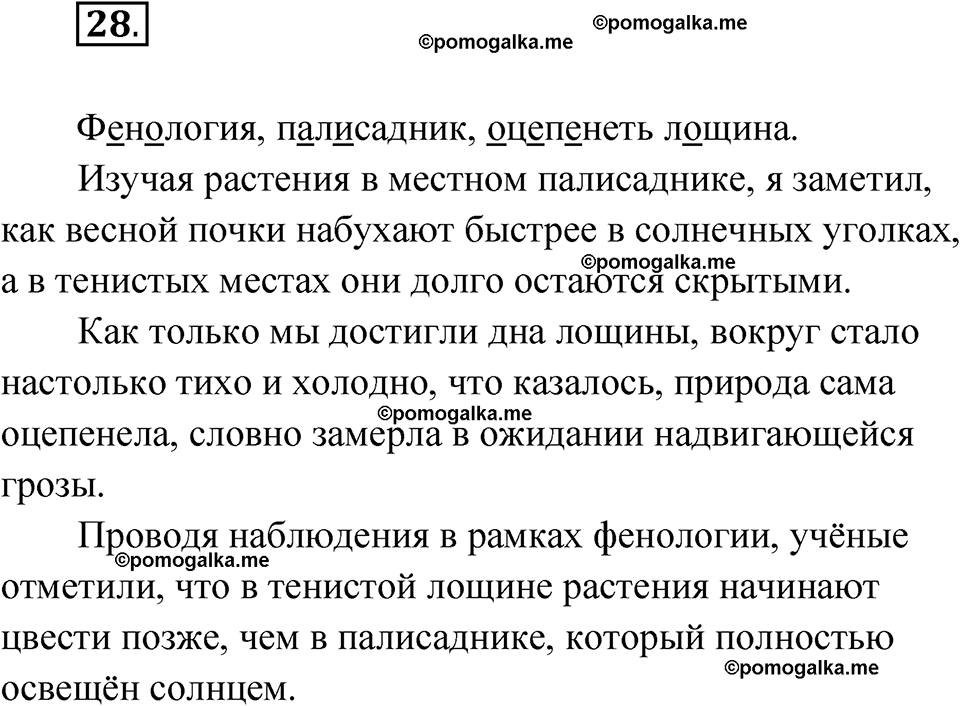 страница 365 глава 4 упражнение 28 русский язык 9 класс Шмелев 2024 год
